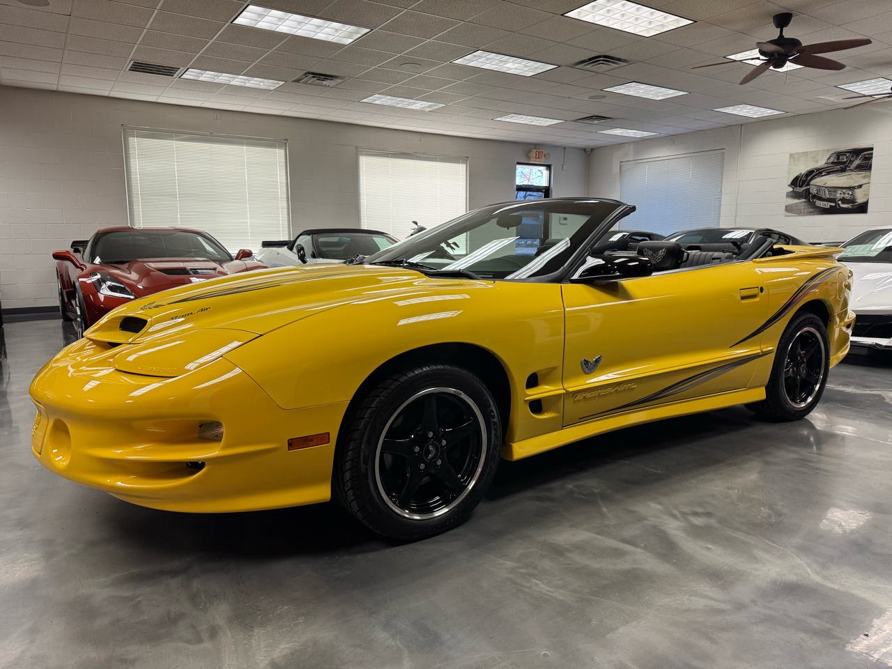 Pontiac Firebird Trans Am  2002