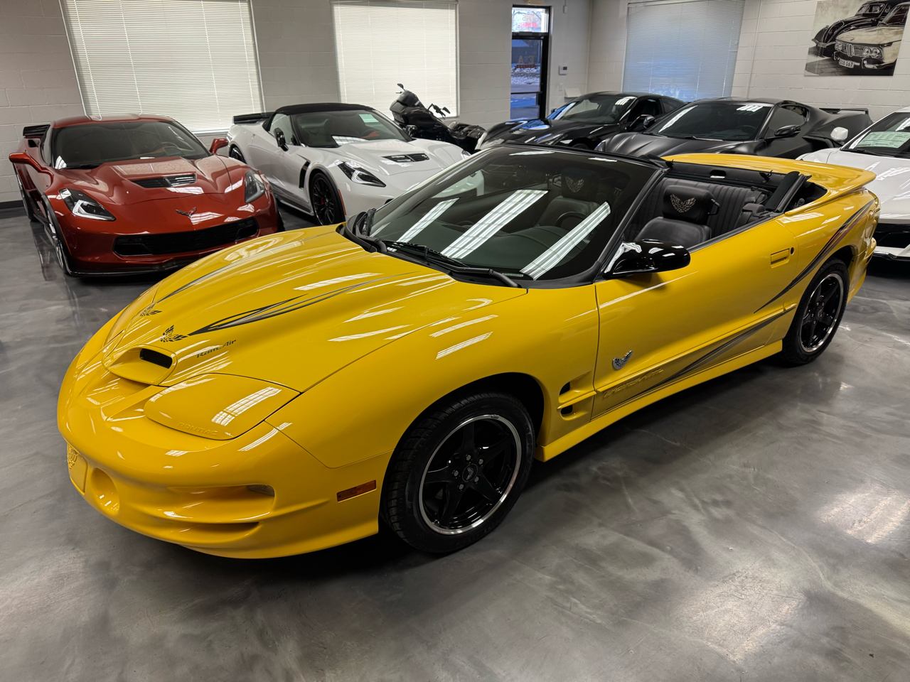 Pontiac Firebird Trans Am  2002