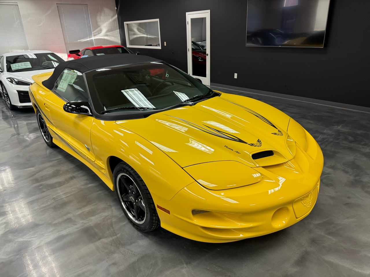 Pontiac Firebird Trans Am  2002