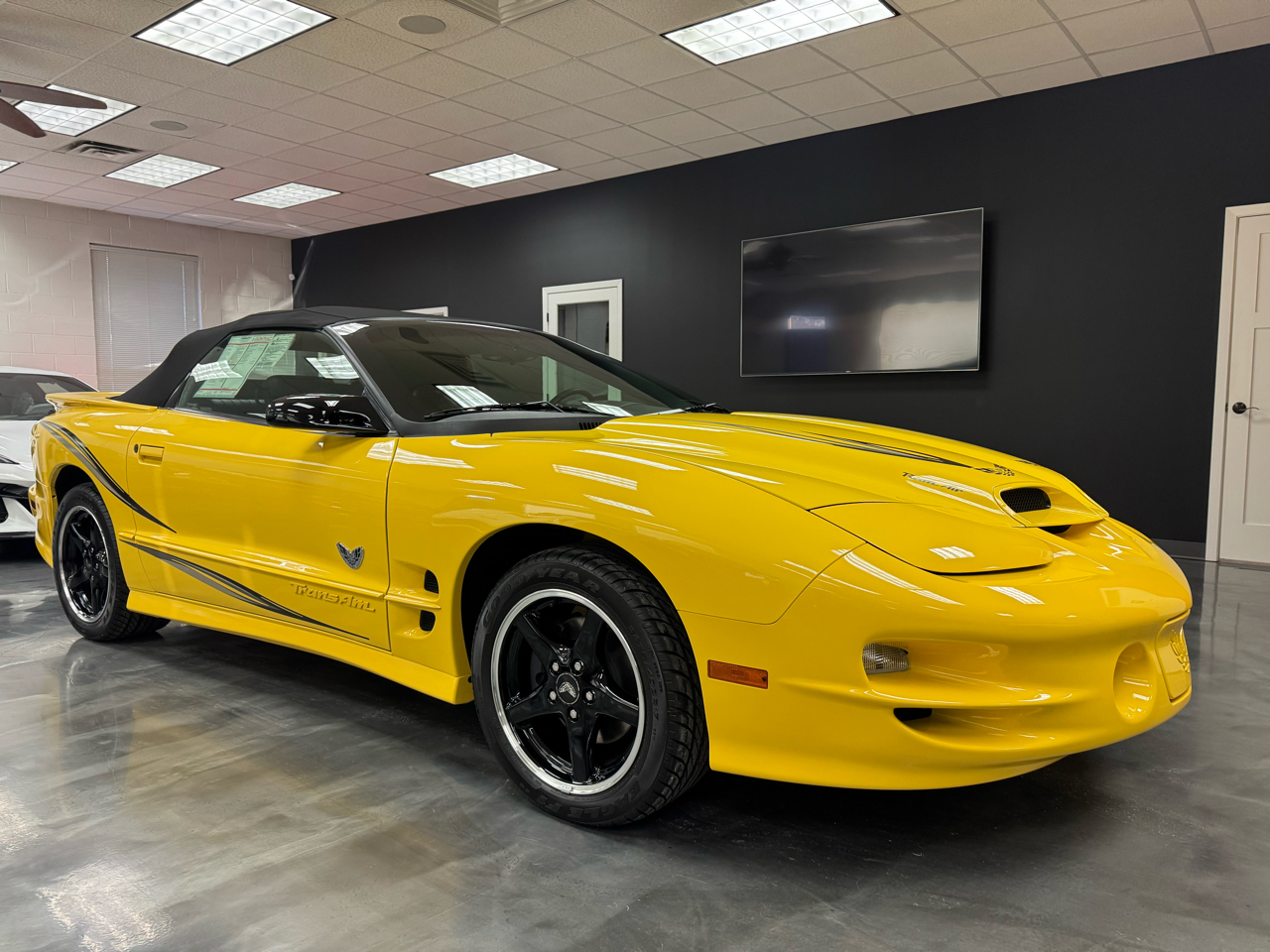 Pontiac Firebird Trans Am  2002