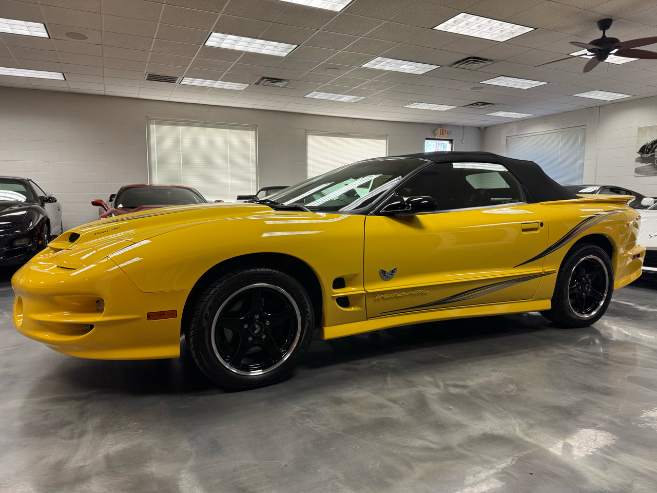 Pontiac Firebird Trans Am  2002