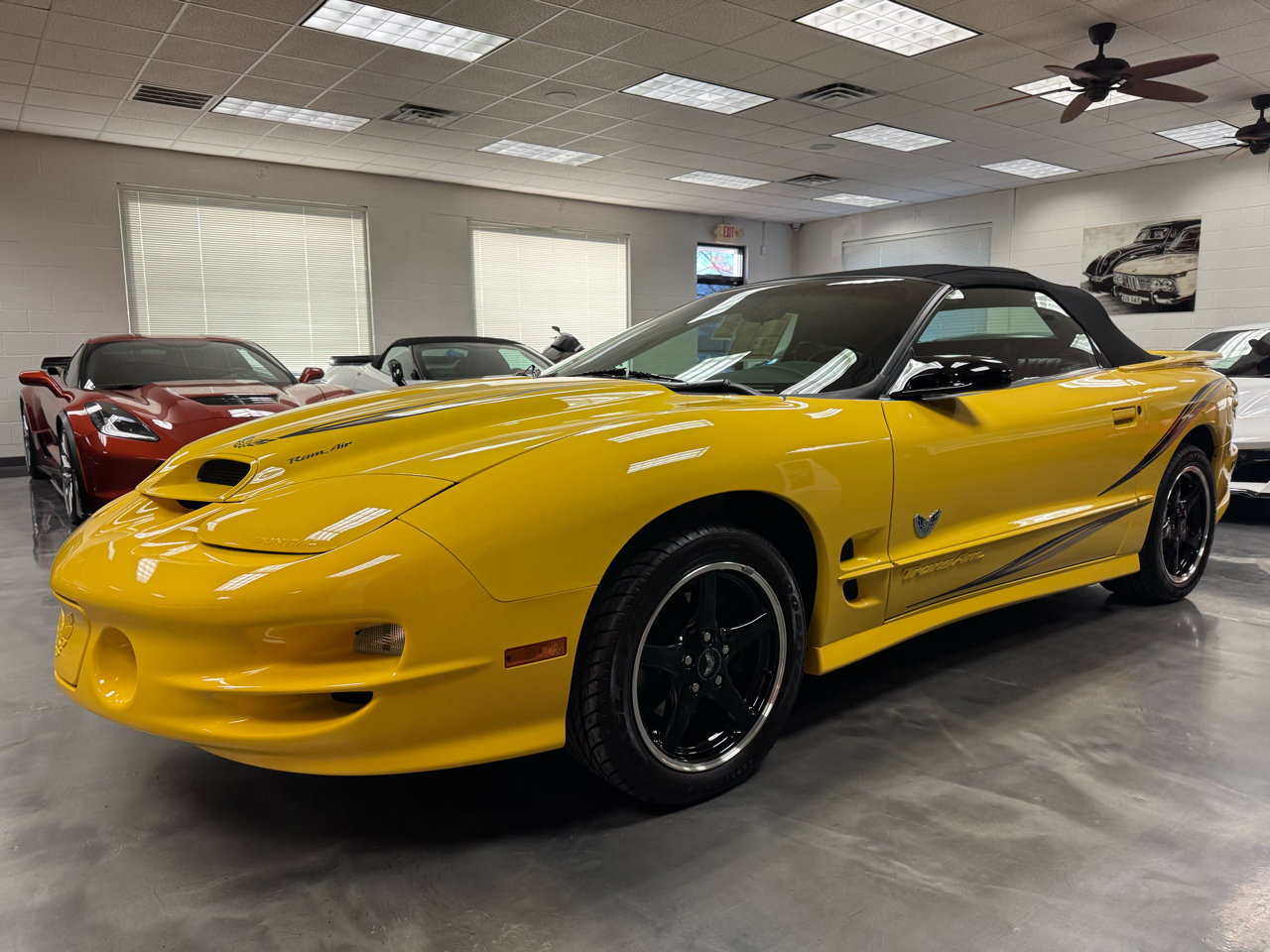 Pontiac Firebird Trans Am  2002