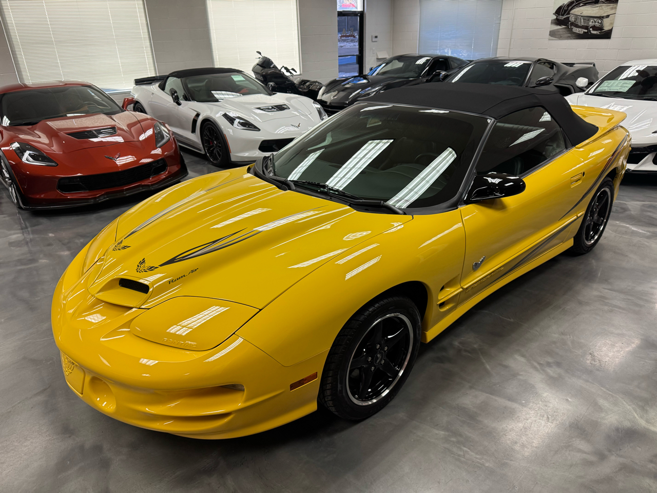 Pontiac Firebird Trans Am  2002