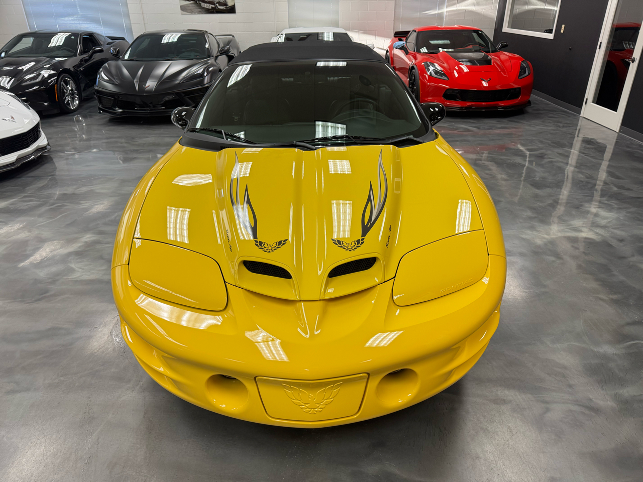 Pontiac Firebird Trans Am  2002