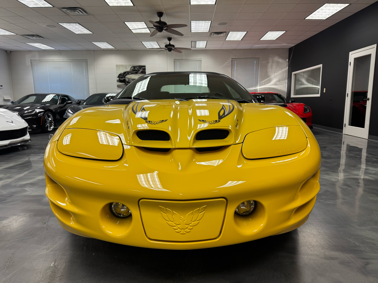 Pontiac Firebird Trans Am  2002