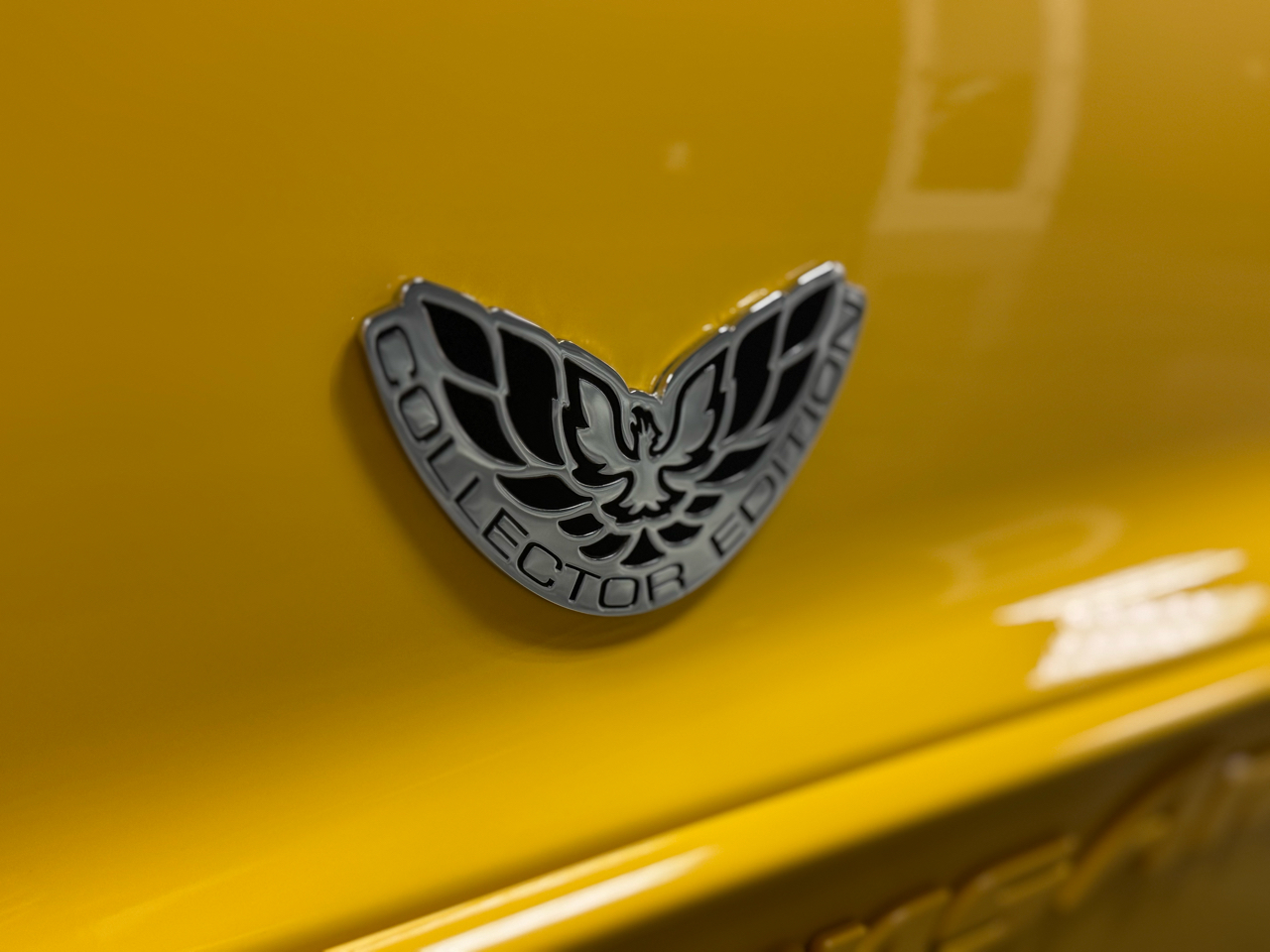 Pontiac Firebird Trans Am  2002