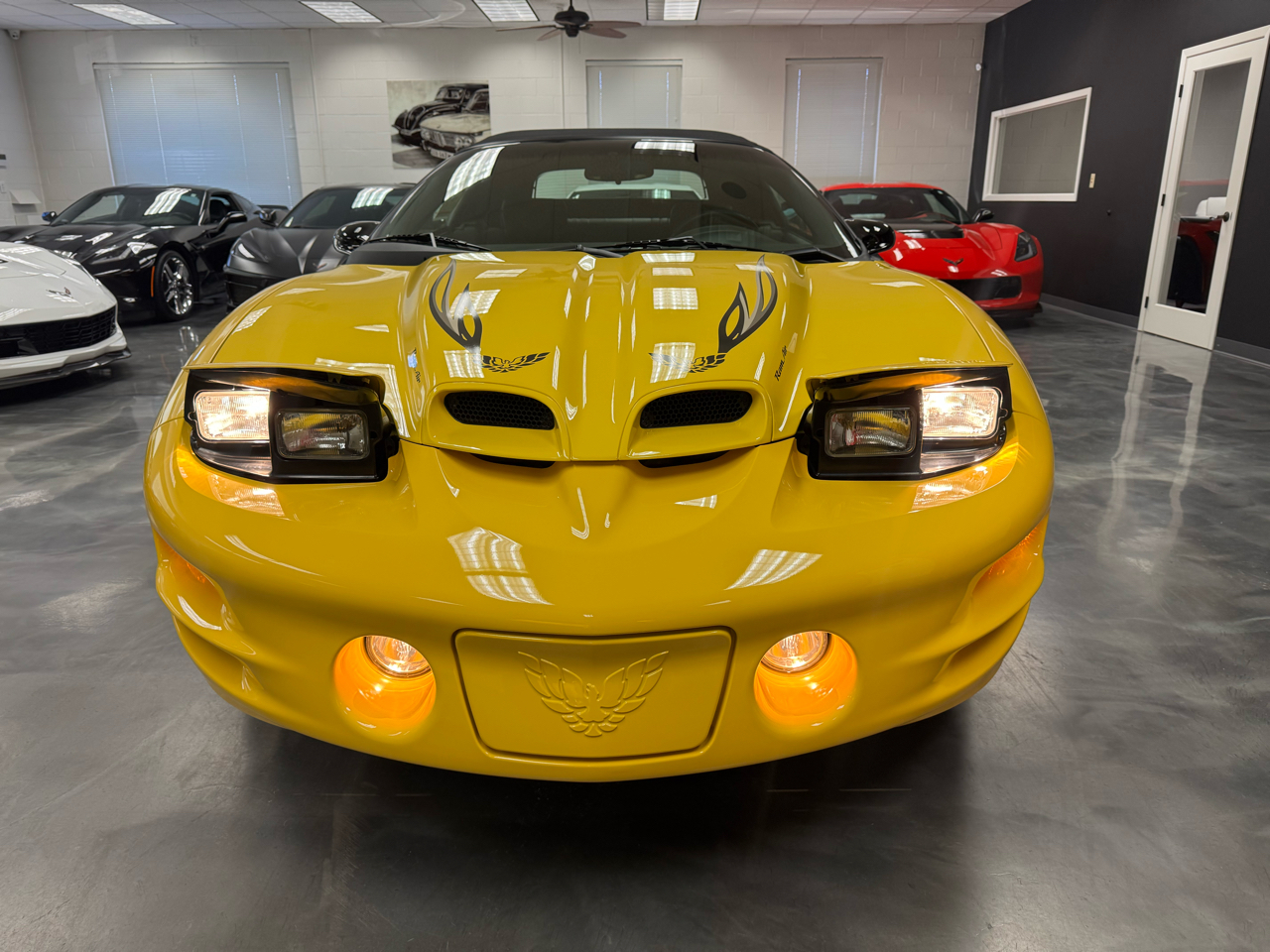 Pontiac Firebird Trans Am  2002