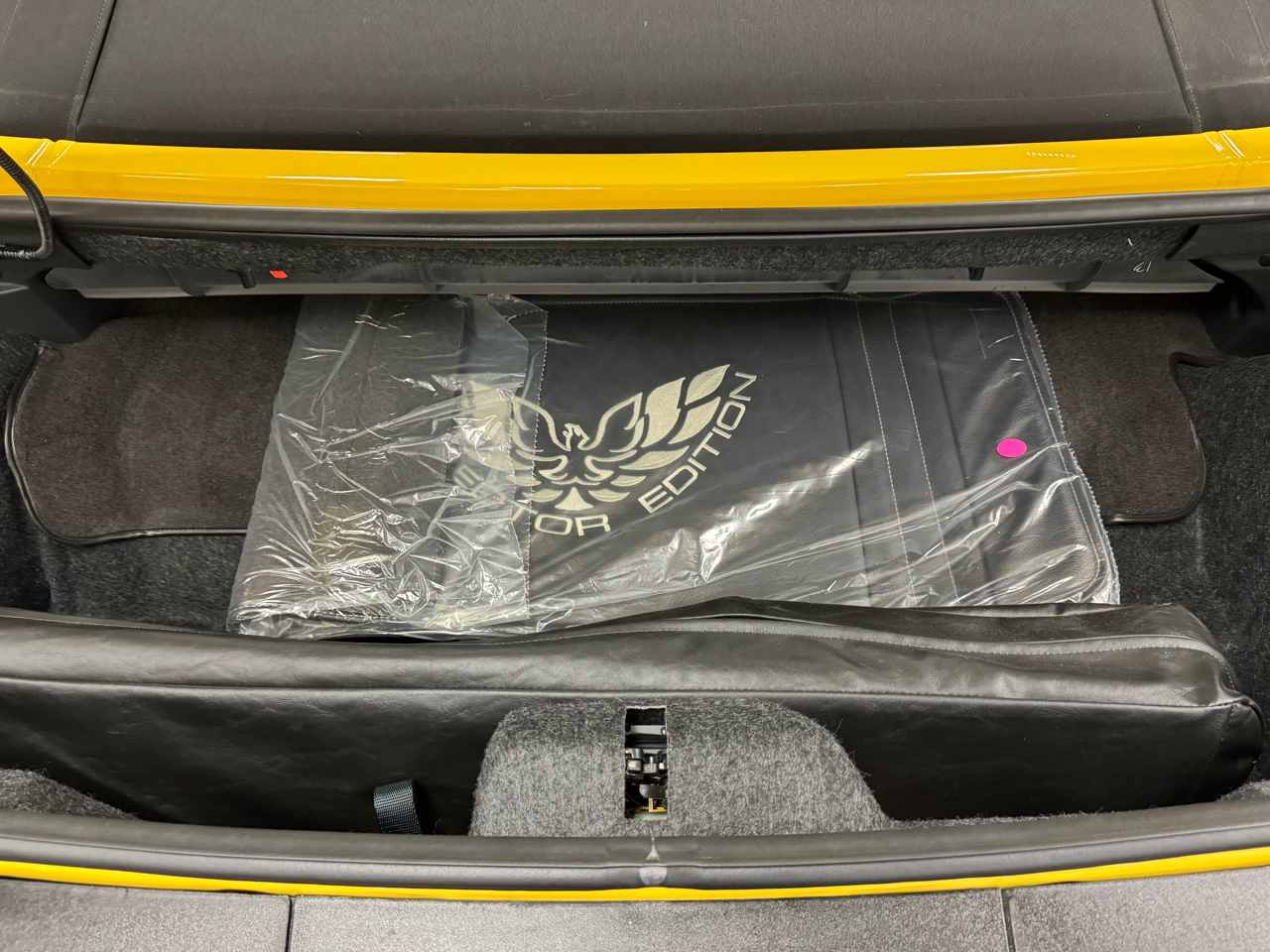 Pontiac Firebird Trans Am  2002