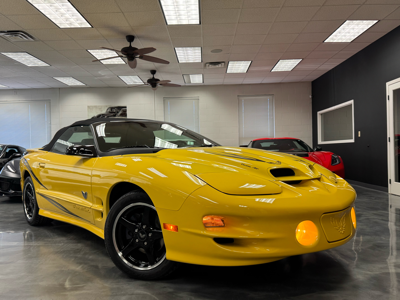 Pontiac Firebird Trans Am  2002