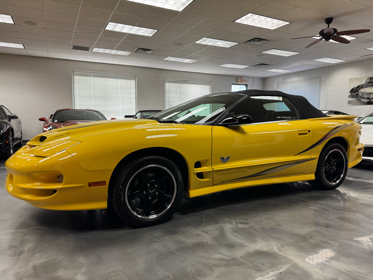 Pontiac Firebird Trans Am  2002