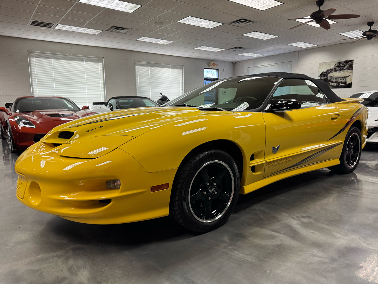 Pontiac Firebird Trans Am  2002