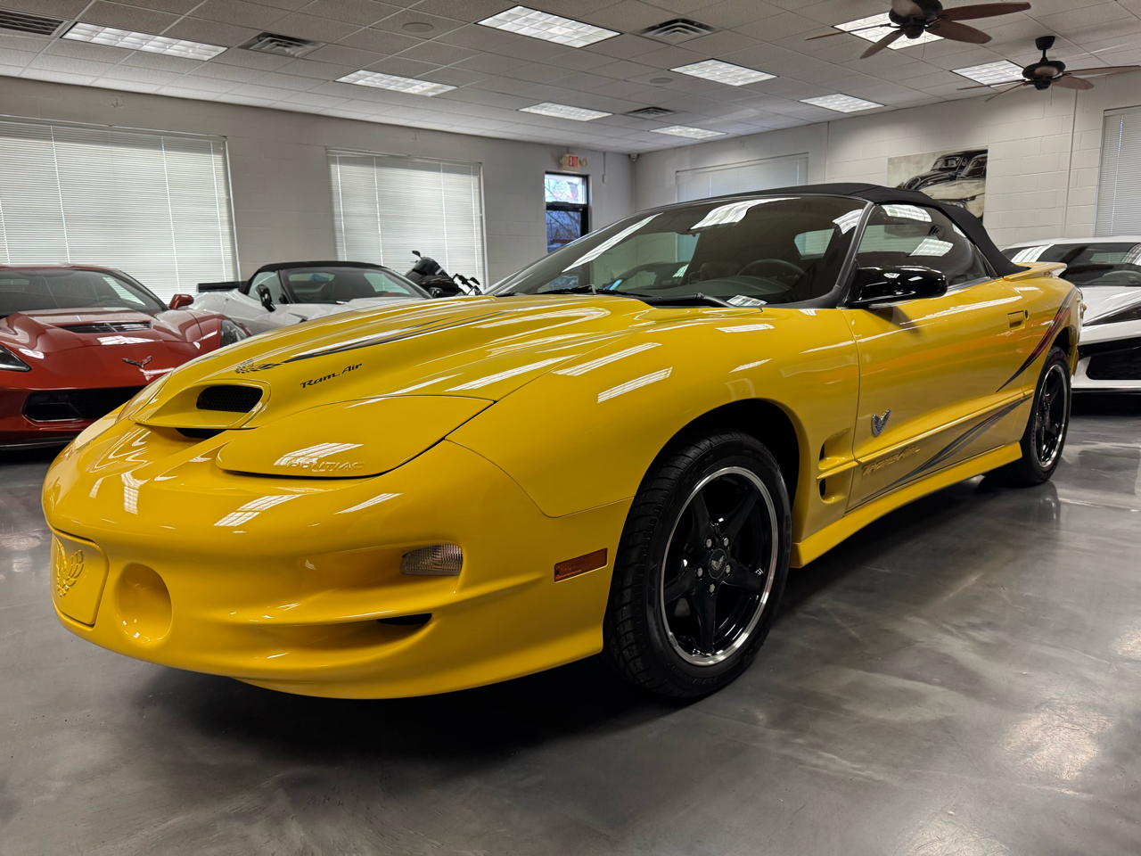 Pontiac Firebird Trans Am  2002