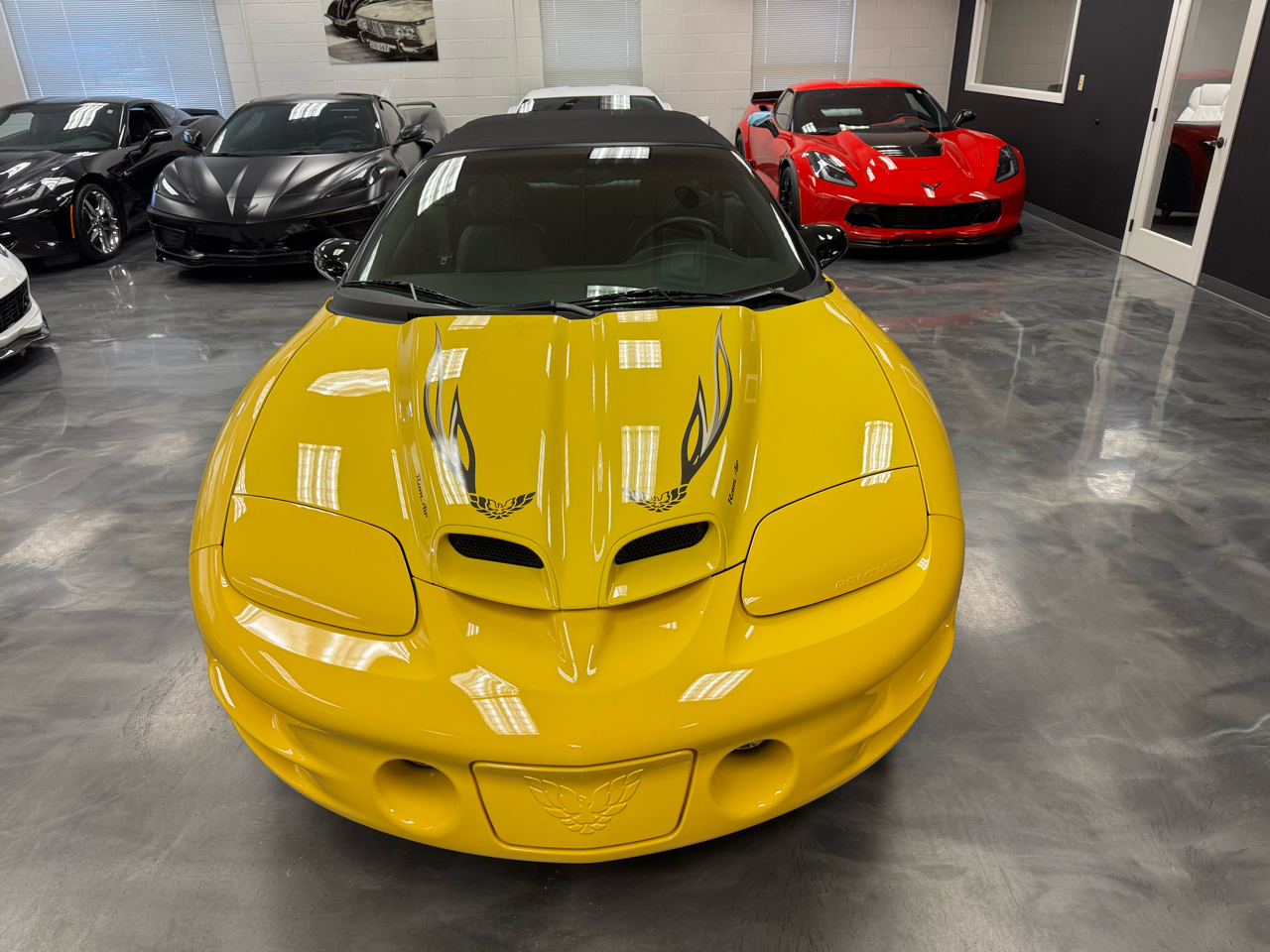 Pontiac Firebird Trans Am  2002