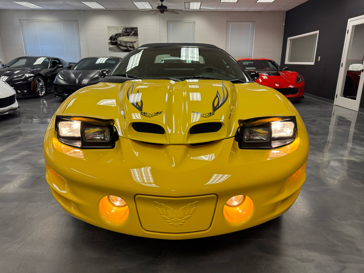 Pontiac Firebird Trans Am  2002