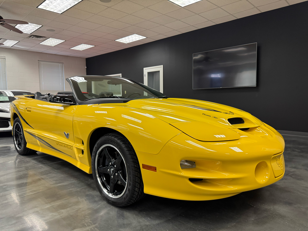 Pontiac Firebird Trans Am  2002