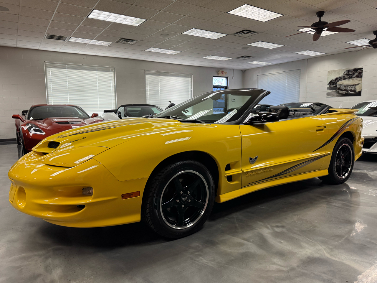 Pontiac Firebird Trans Am  2002