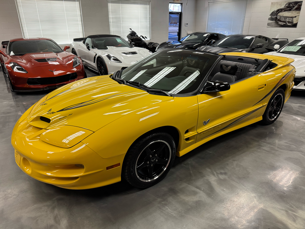 Pontiac Firebird Trans Am  2002