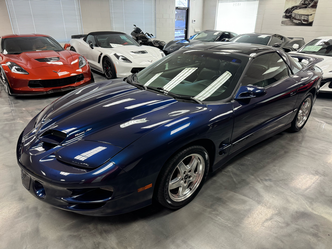 Pontiac Firebird Trans Am WS6 2002