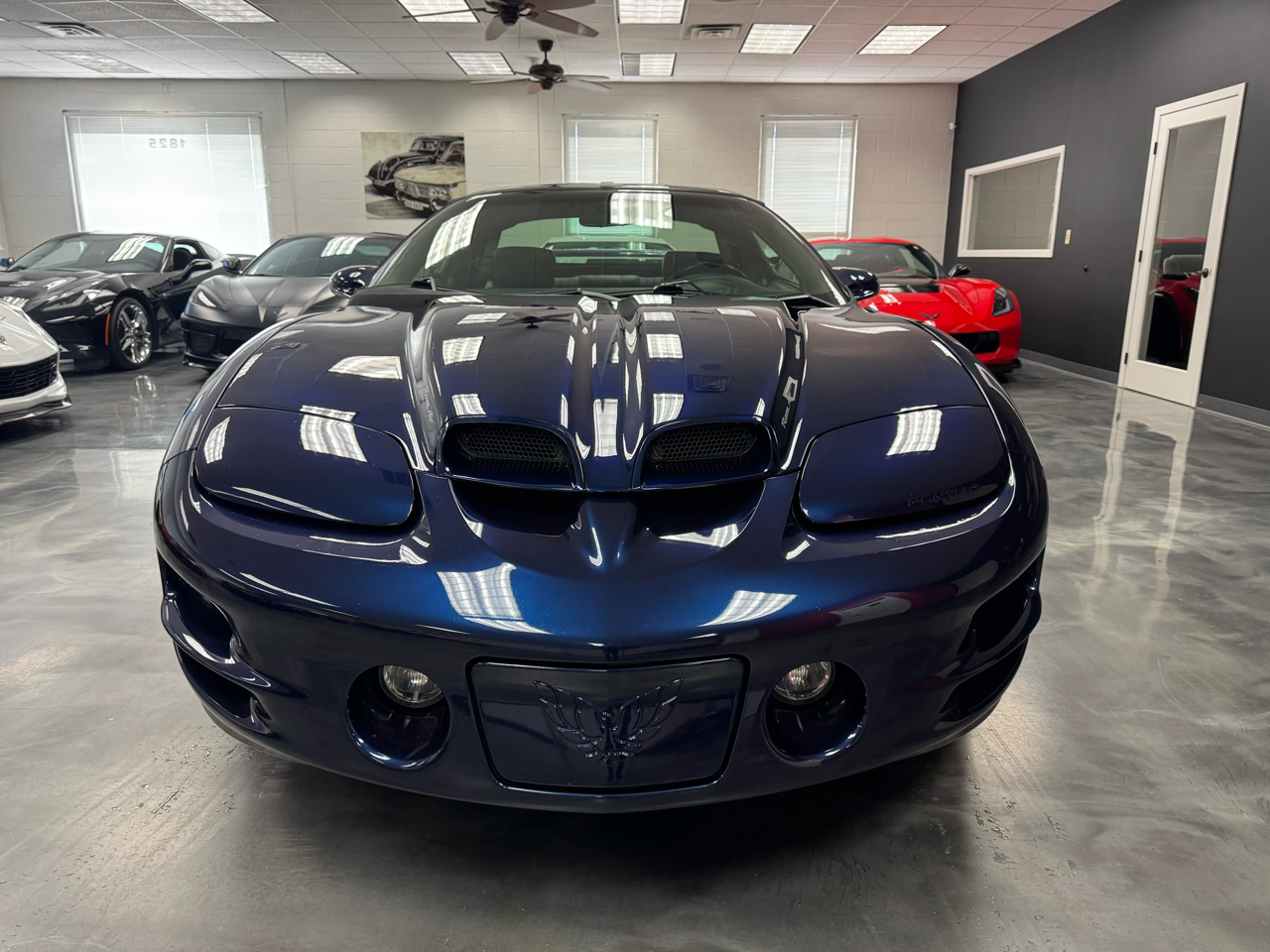 Pontiac Firebird Trans Am WS6 2002