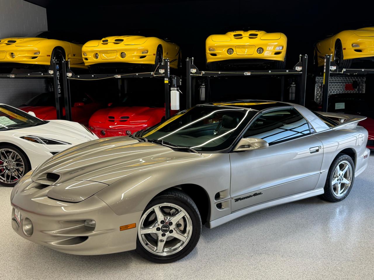 Pontiac Firebird Trans Am WS6 2000