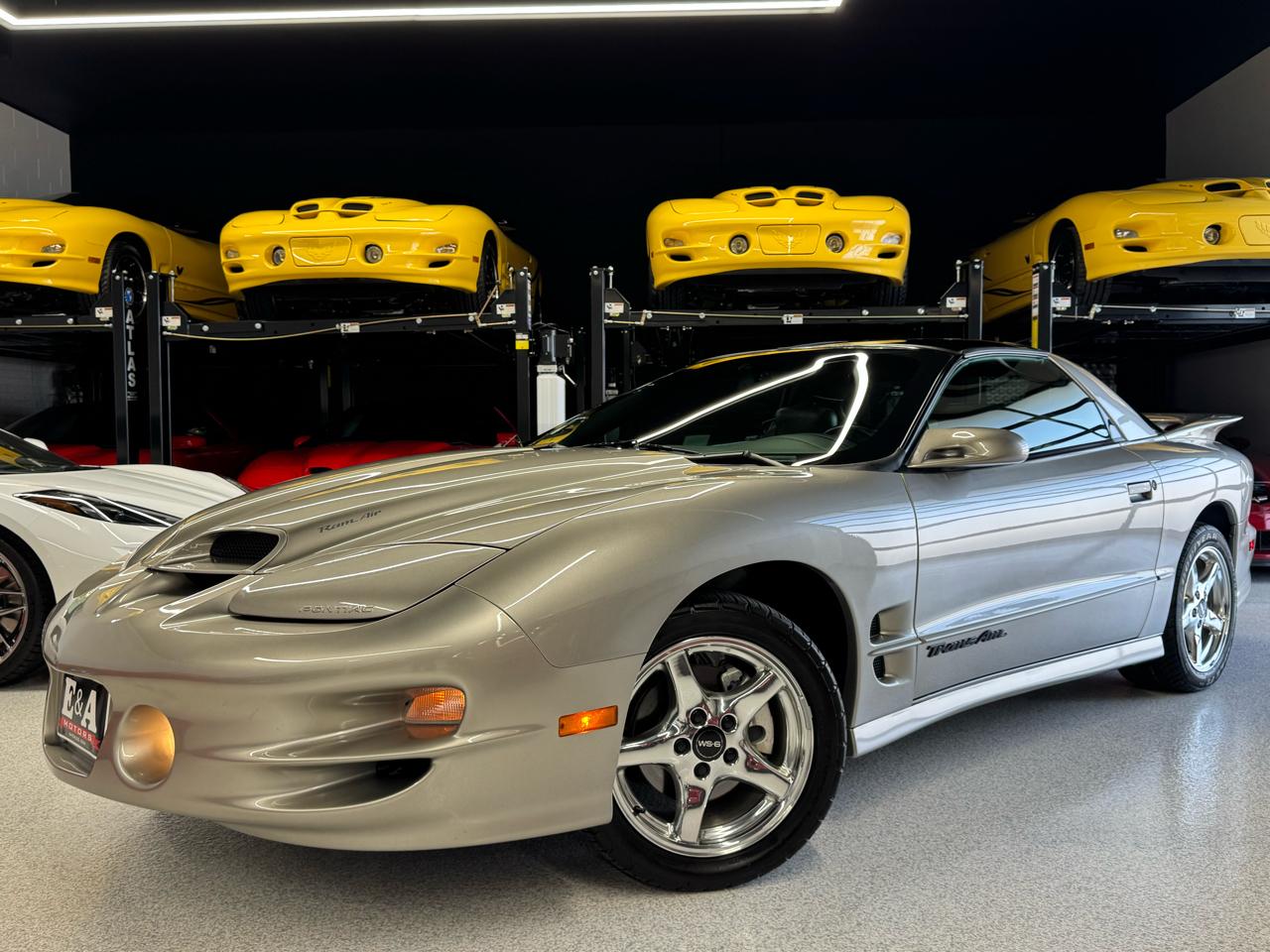 Pontiac Firebird Trans Am WS6 2000