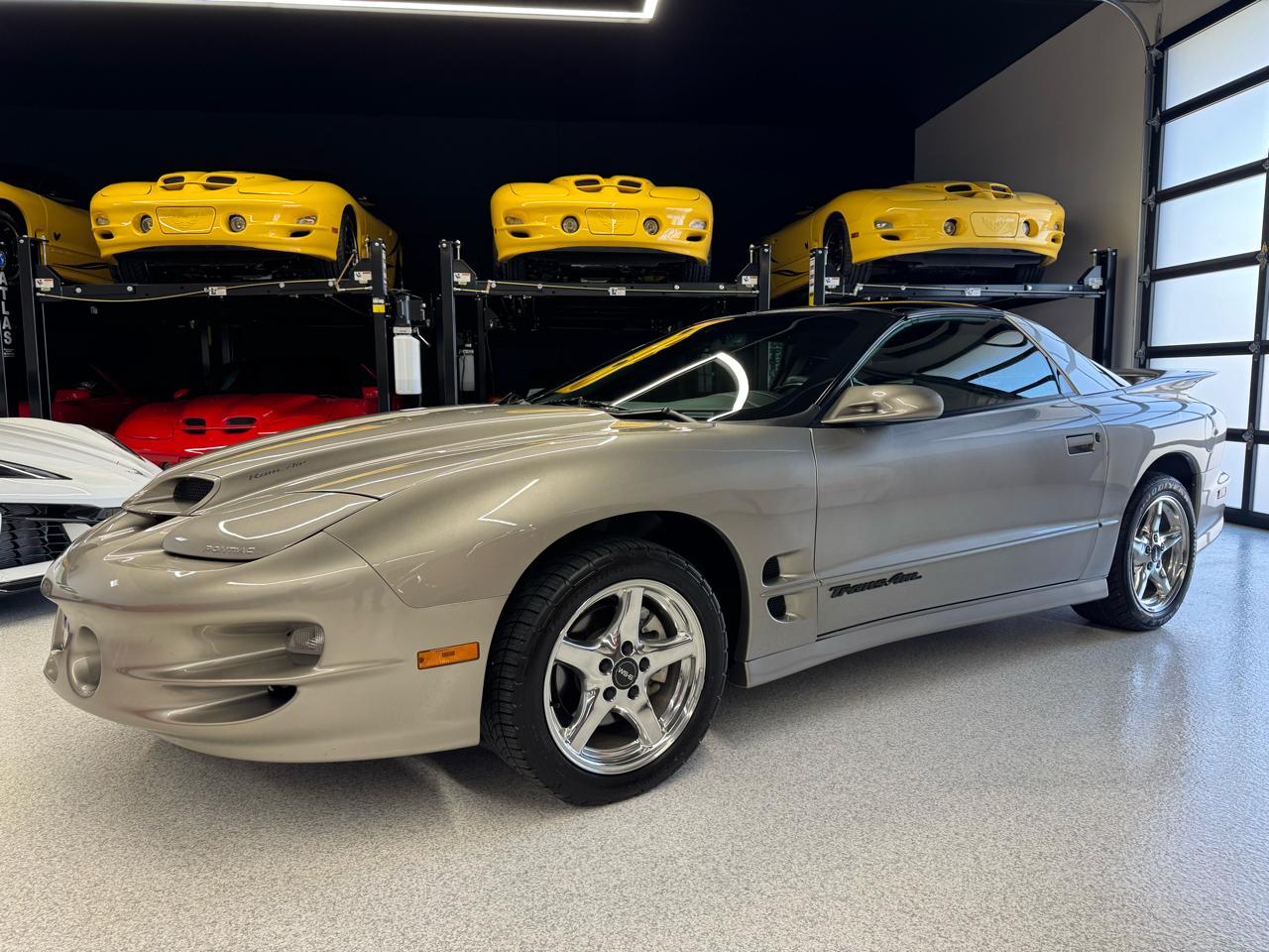 Pontiac Firebird Trans Am WS6 2000