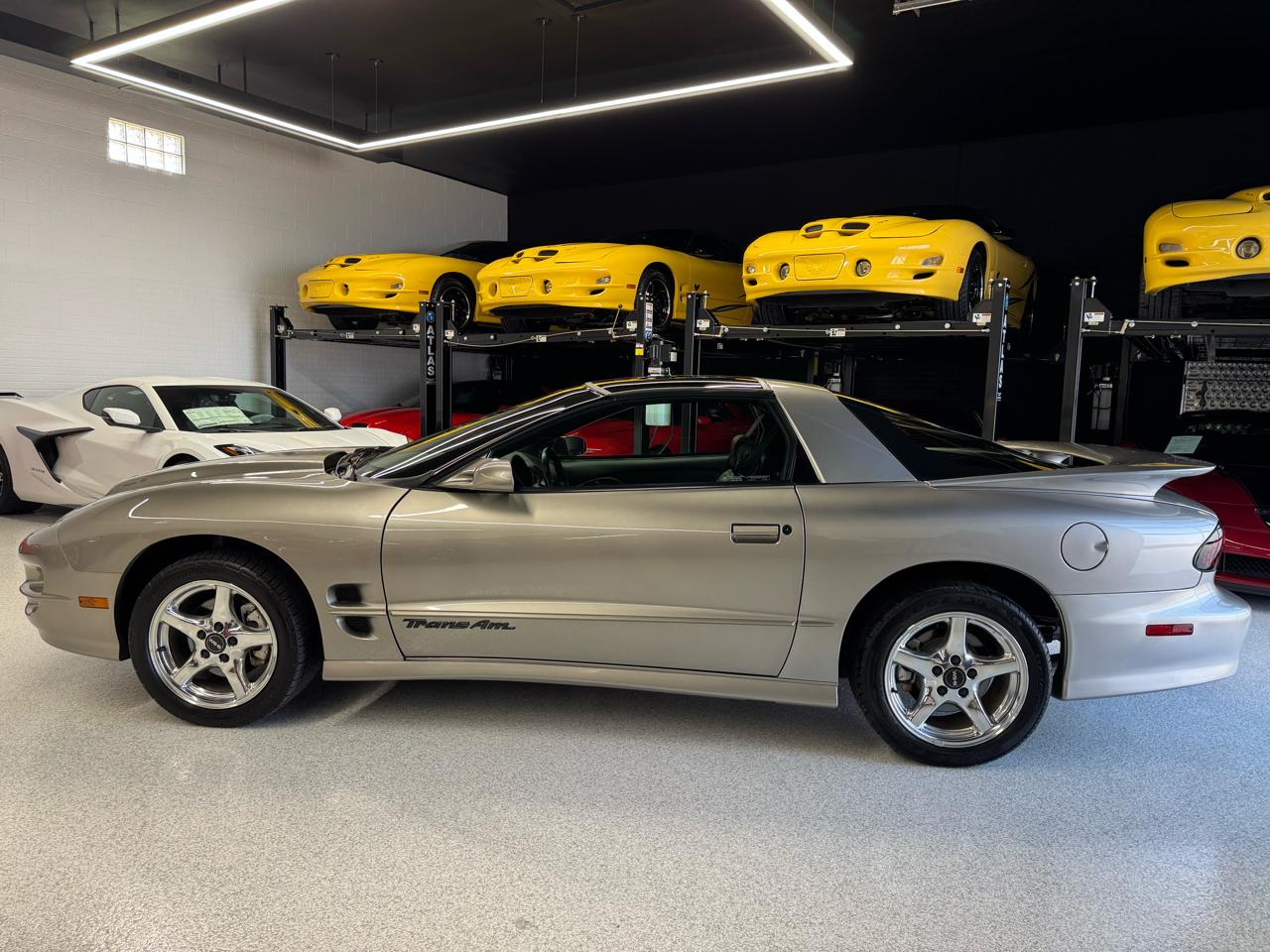 Pontiac Firebird Trans Am WS6 2000