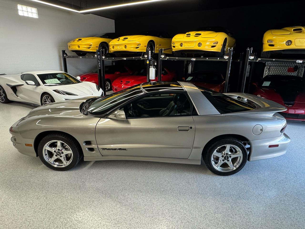 Pontiac Firebird Trans Am WS6 2000