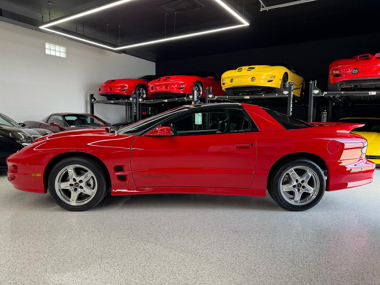 Pontiac Firebird Trans Am WS6 2002