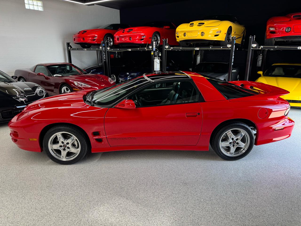 Pontiac Firebird Trans Am WS6 2002