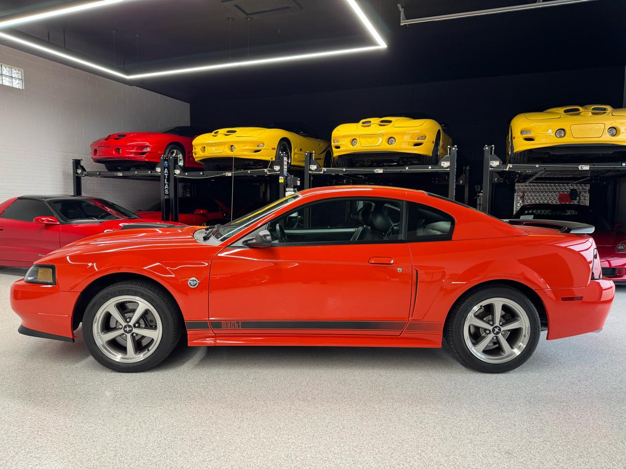 Ford Mustang  2004