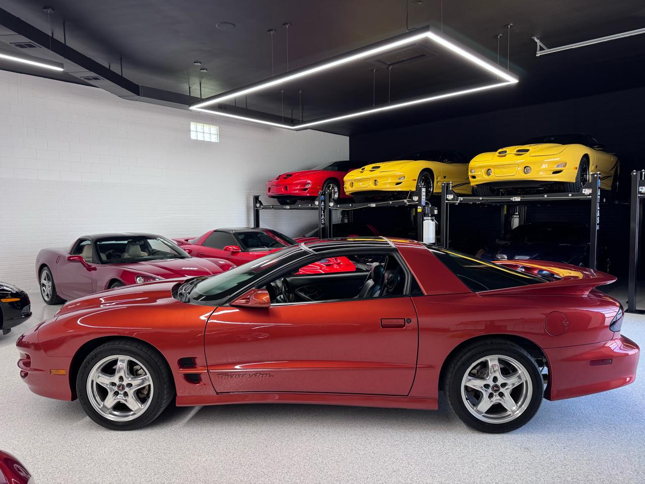 Pontiac Firebird Trans Am WS6 2002