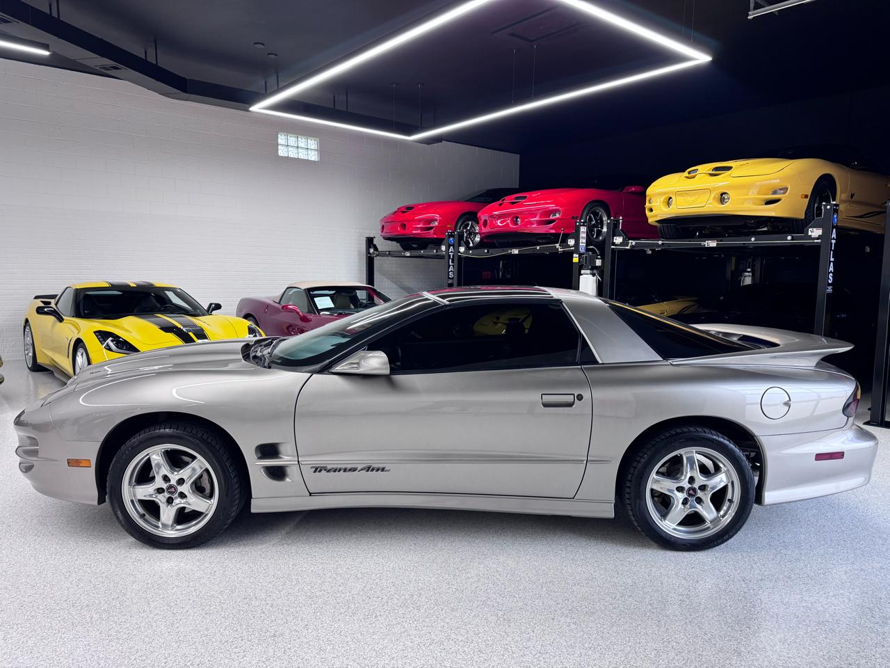 Pontiac Firebird Trans Am WS6 2001
