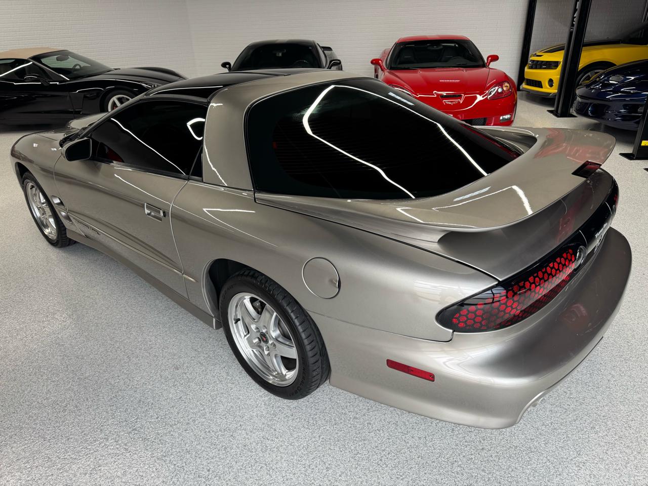 Pontiac Firebird Trans Am WS6 2001