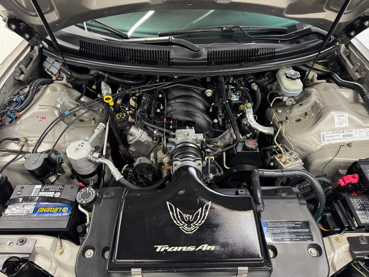 Pontiac Firebird Trans Am WS6 2001