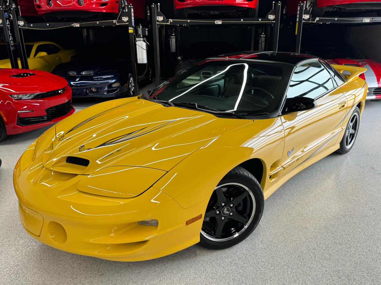Pontiac Firebird Trans Am WS6 2002