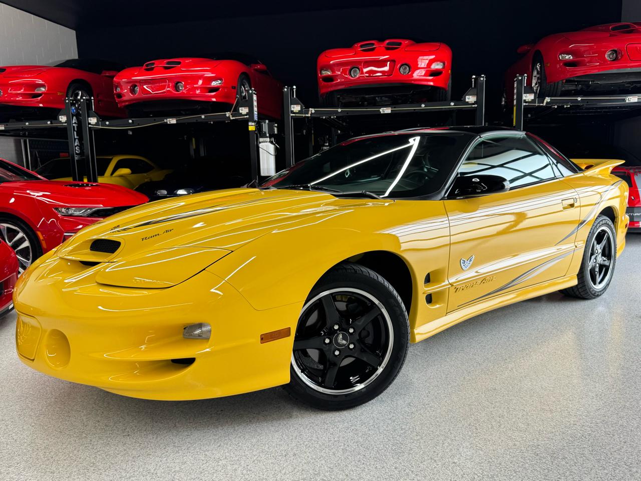 Pontiac Firebird Trans Am WS6 2002
