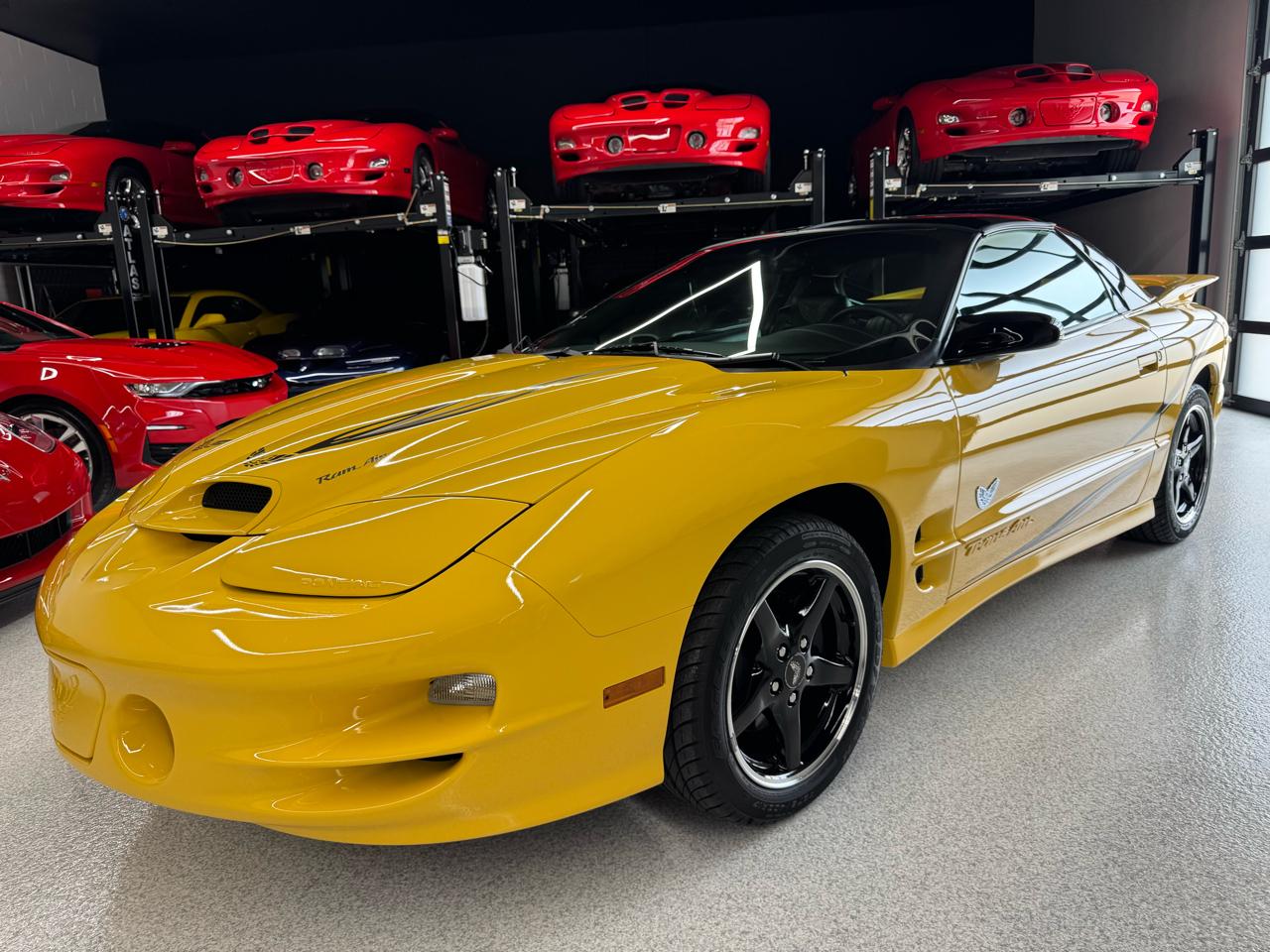 Pontiac Firebird Trans Am WS6 2002