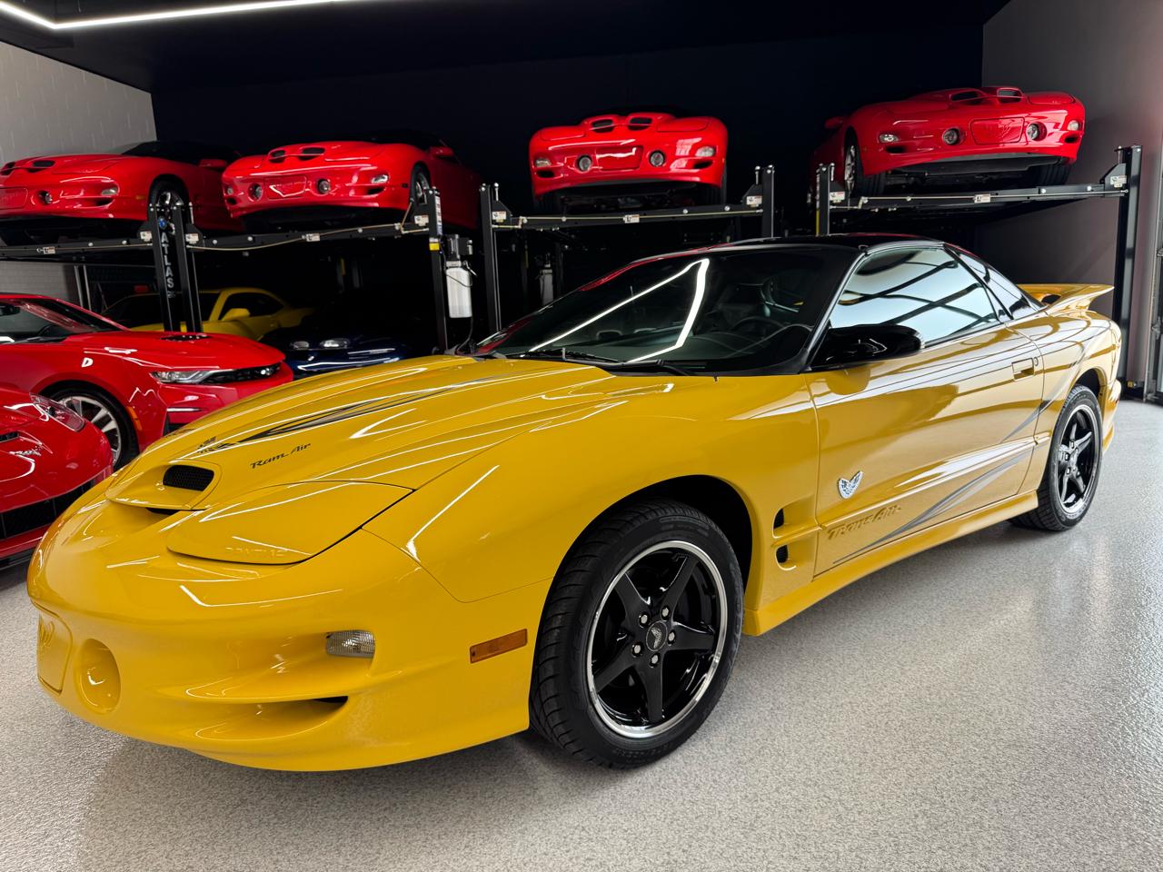Pontiac Firebird Trans Am WS6 2002