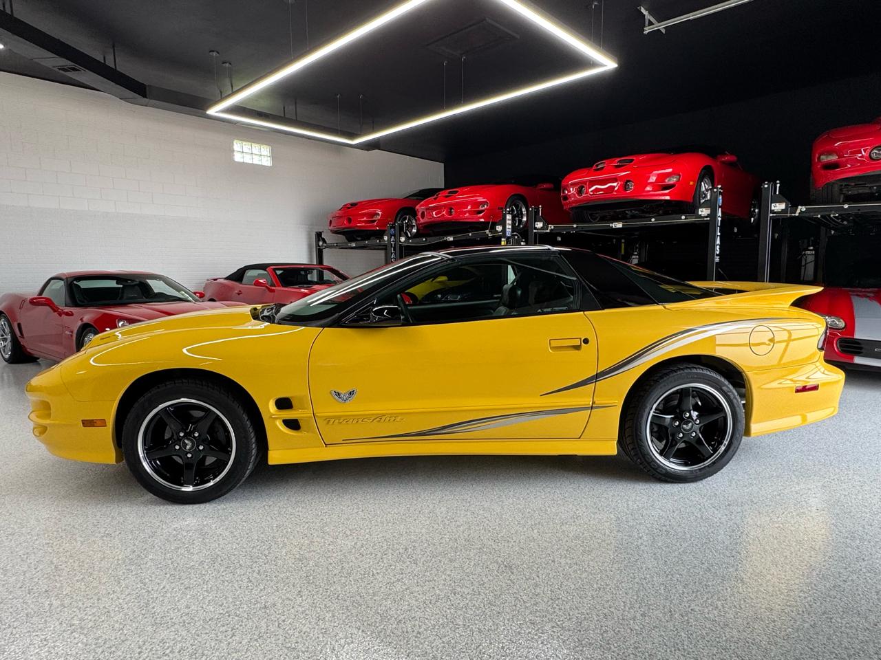 Pontiac Firebird Trans Am WS6 2002