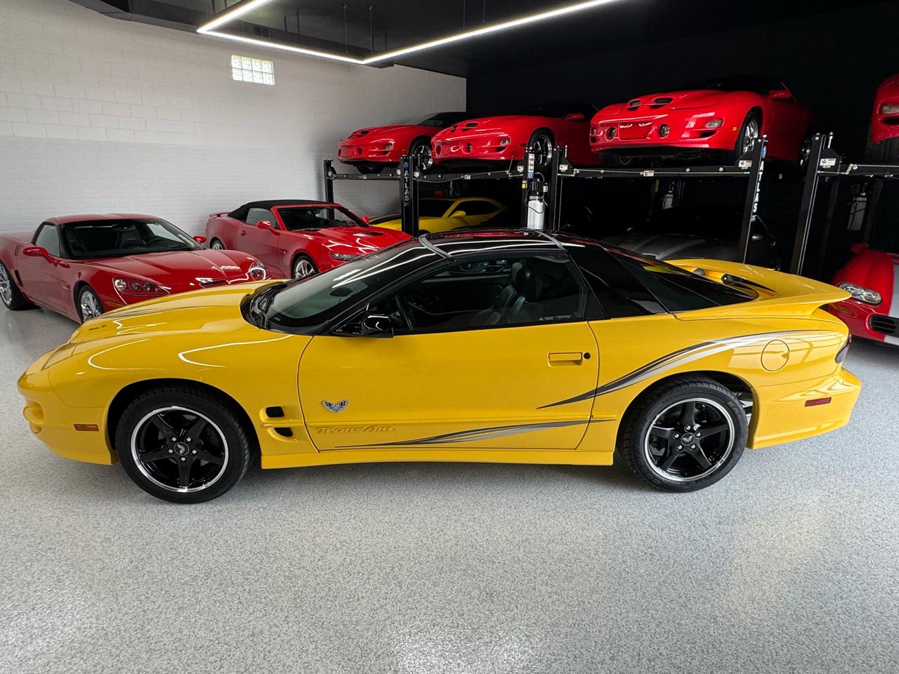 Pontiac Firebird Trans Am WS6 2002