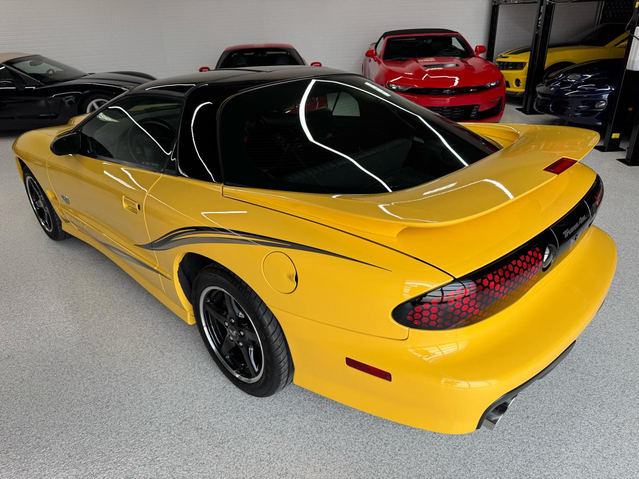 Pontiac Firebird Trans Am WS6 2002