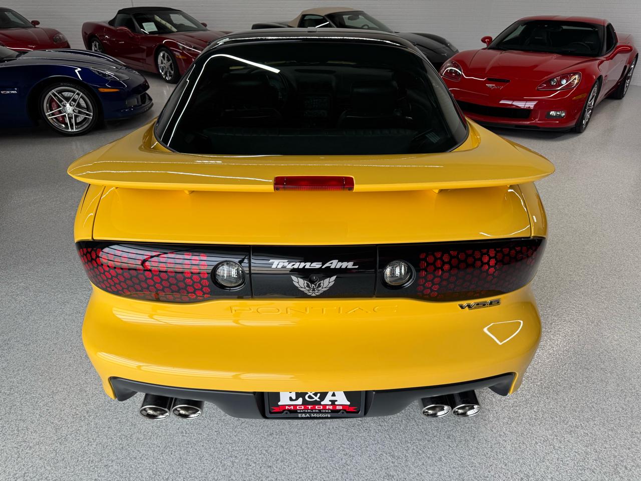 Pontiac Firebird Trans Am WS6 2002