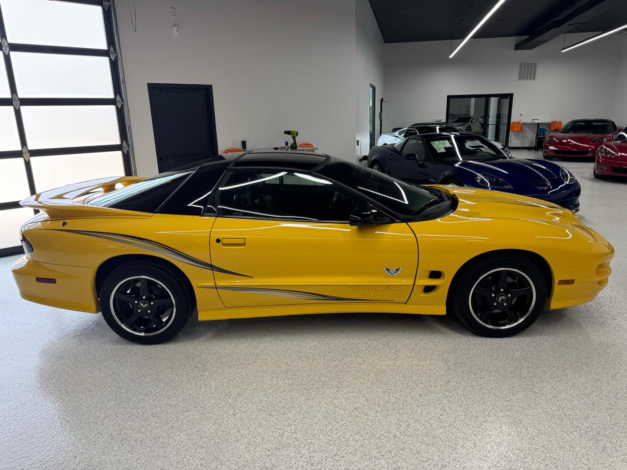 Pontiac Firebird Trans Am WS6 2002