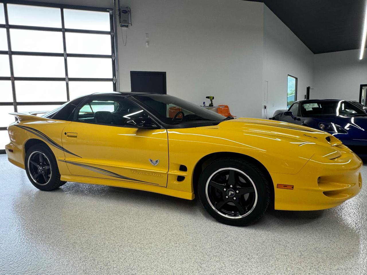 Pontiac Firebird Trans Am WS6 2002
