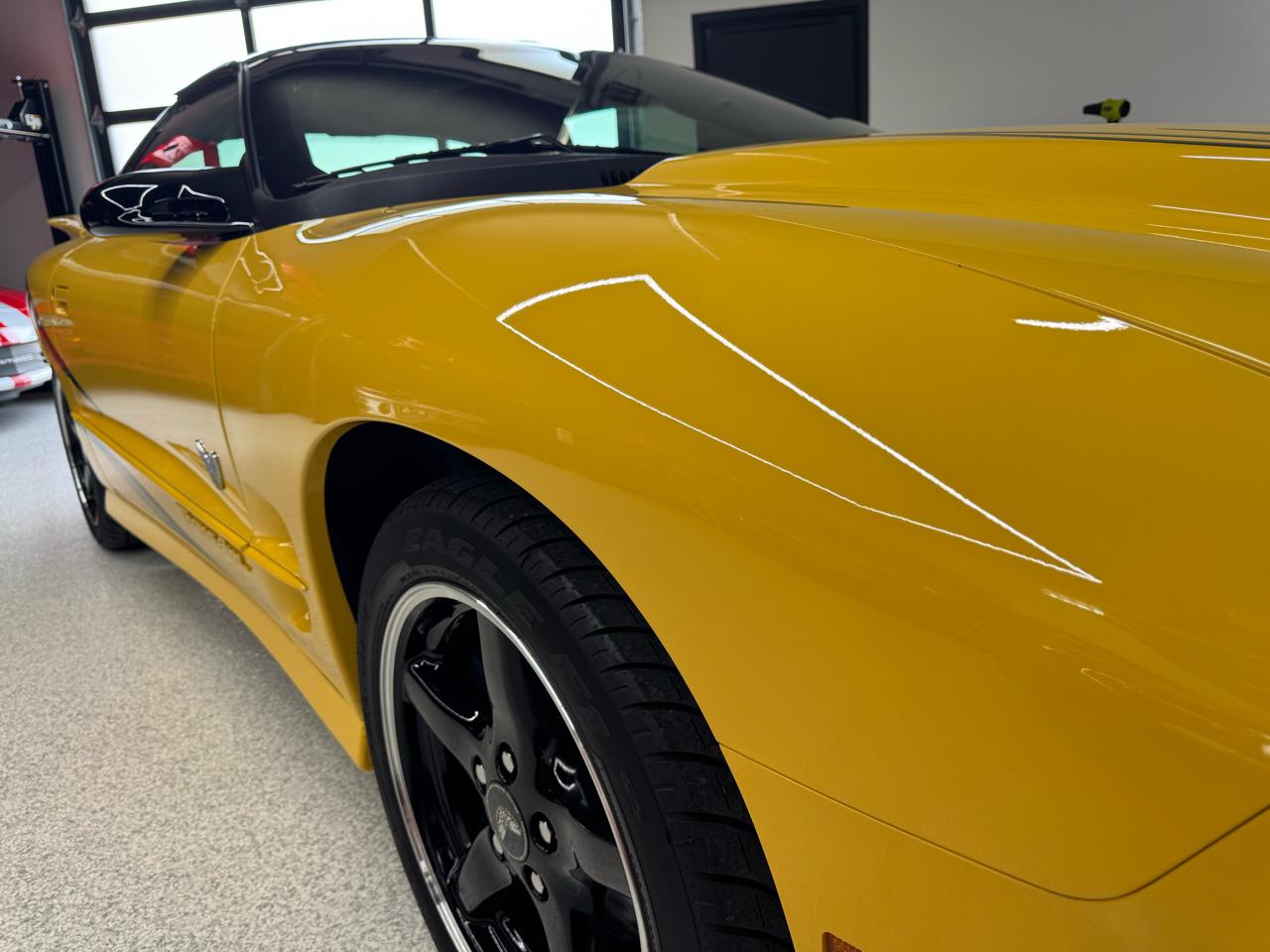 Pontiac Firebird Trans Am WS6 2002
