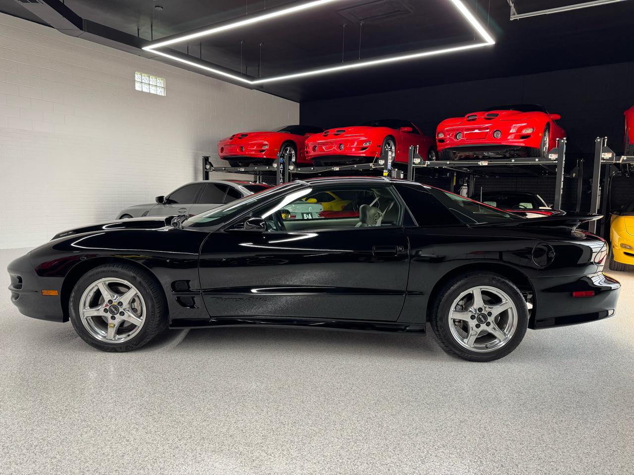 Pontiac Firebird Trans Am WS6 1999