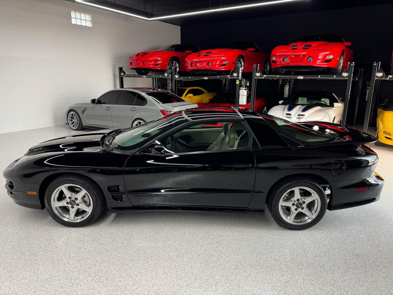 Pontiac Firebird Trans Am WS6 1999