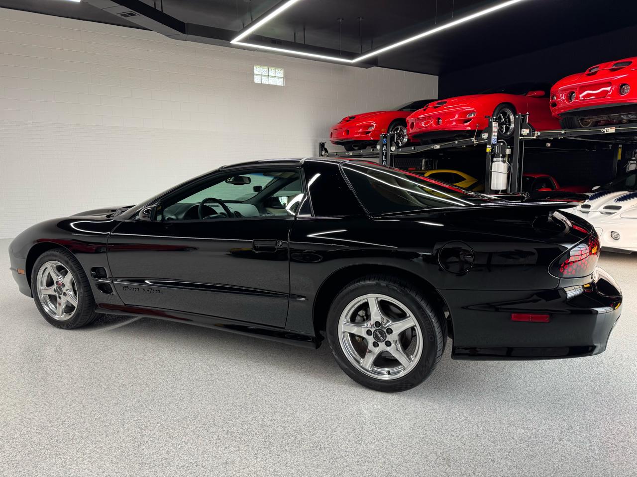 Pontiac Firebird Trans Am WS6 1999