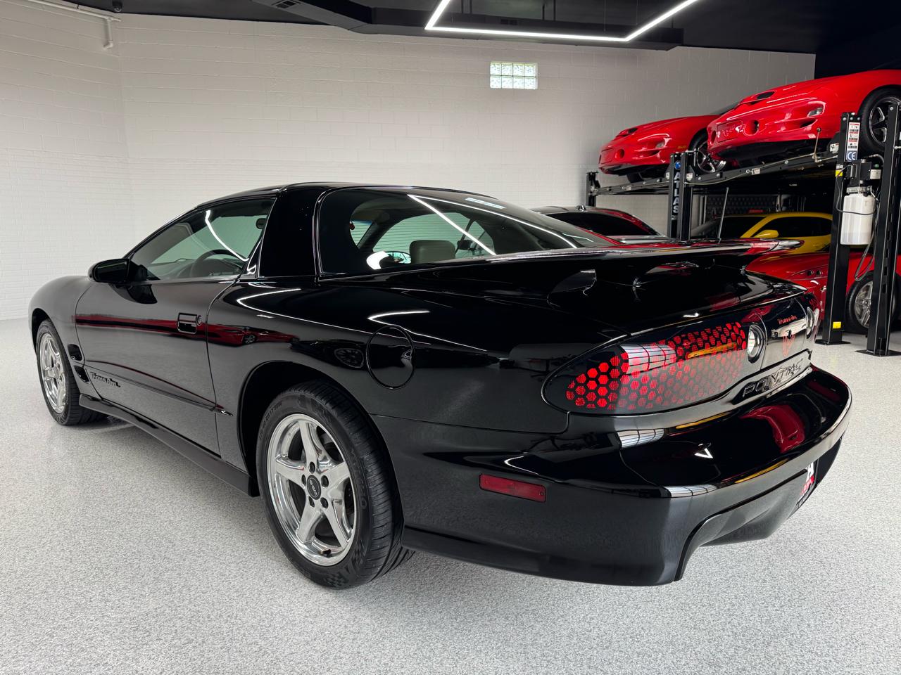 Pontiac Firebird Trans Am WS6 1999